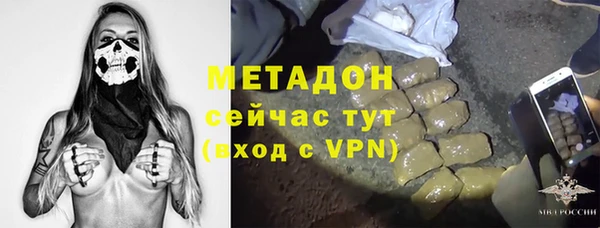 прущие грибы Алексин