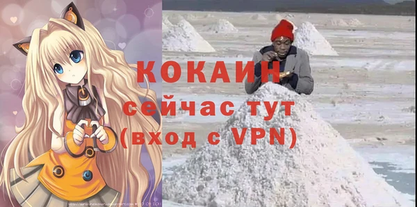 дживик Арсеньев