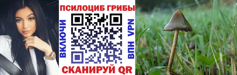 Галлюциногенные грибы GOLDEN TEACHER  Чебаркуль 